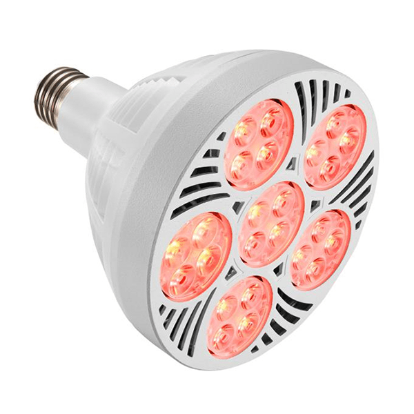 Surya PAR38 60W